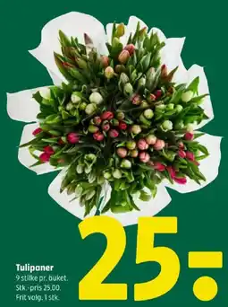 Coop 365 Tulipaner tilbud