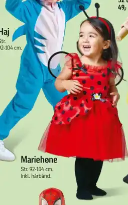 Føtex Mariehøne tilbud