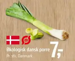 Føtex Økologisk dansk porre tilbud