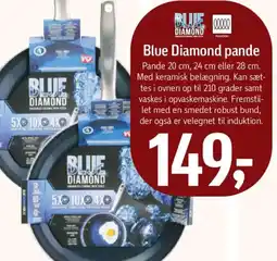 Føtex Blue Diamond pande tilbud