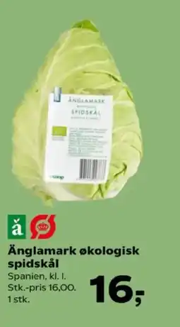 Kvickly Änglamark økologisk spidskål tilbud