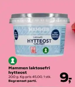 Kvickly Mammen laktosefri hytteost tilbud