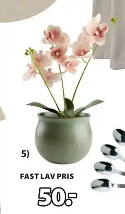 JYSK GUDJON kunstig orkidé tilbud