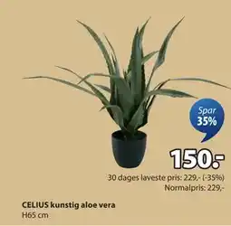 JYSK CELIUS kunstig aloe vera tilbud