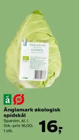 SuperBrugsen Änglamark økologisk spidskål tilbud