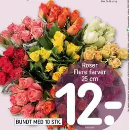 REMA 1000 Roser Flere farver 25 cm tilbud