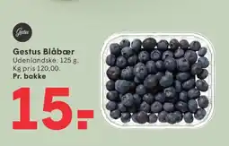 SPAR Gestus Blåbær tilbud