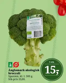 Dagli'Brugsen Änglamark økologisk broccoli tilbud