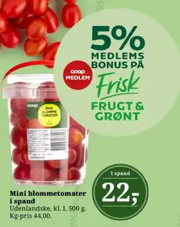 Dagli'Brugsen Mini blommetomater i spand tilbud