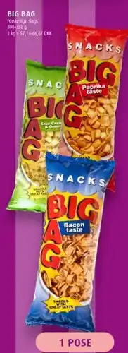 Scandinavian Park Big Bag tilbud