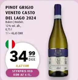 Scandinavian Park Pinot Grigio Veneto Casto del Lago 2024 tilbud