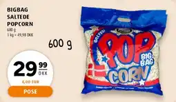 Scandinavian Park Bigbag Saltede Popcorn 600 g tilbud
