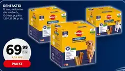 Scandinavian Park Dentastix tilbud