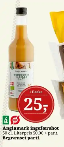 Dagli'Brugsen Änglamark ingefærshot tilbud
