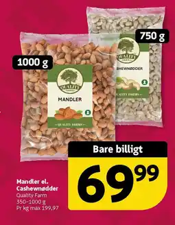 Løvbjerg Mandler el. Cashewnødder tilbud