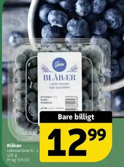 Løvbjerg Blåbær tilbud