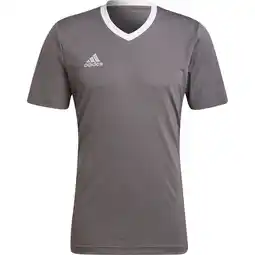 Sport 24 adidas Entrada 22 Trænings T-shirt tilbud