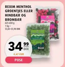 Scandinavian Park REXIM MENTHOL GROENTJES ELLER HINDBÆR OG BROMBÆR tilbud