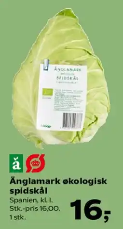 Kvickly Änglamark økologisk spidskål tilbud