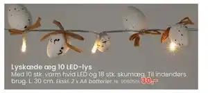 Lyskæde æg 10 LED-lys