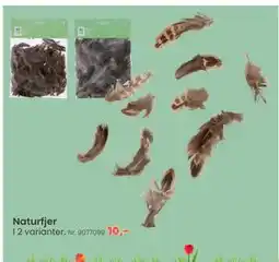 Hi five Naturfjer tilbud