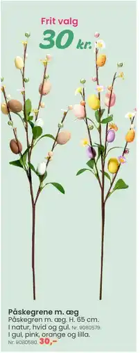 Hi five Påskegrene m. æg tilbud