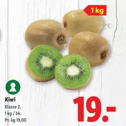 Lidl Kiwi tilbud