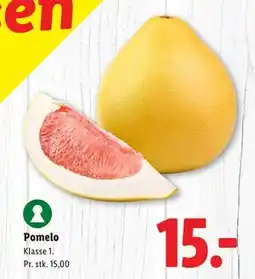 Lidl Pomelo tilbud