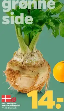Netto Økologisk dansk knoldselleri tilbud
