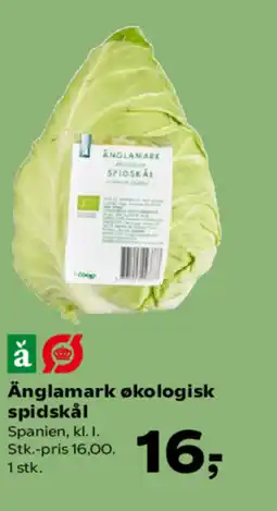 Kvickly Änglamark økologisk spidskål tilbud