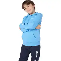 Sport 24 Champion Embroidered Small Logo Hættetrøje Børn tilbud