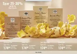 Helsam Mushroom Plus (Cordyceps, Chaga, Lion's Mane, Reishi) tilbud