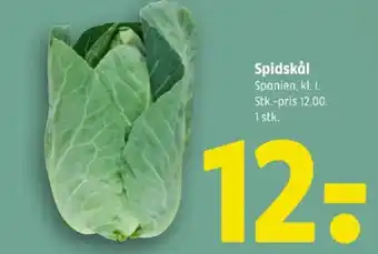 Coop 365 Spidskål tilbud