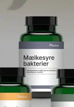 Helsam Mælkesyrebakterier Probiotika tilbud