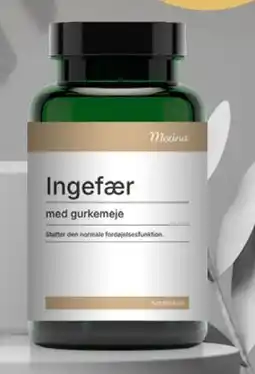 Helsam Ingefær med Gurkemeje tilbud