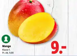 Lidl Mango tilbud