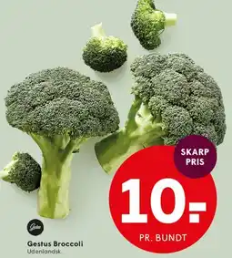 SPAR Gestus Broccoli tilbud