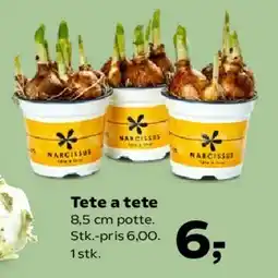 Kvickly Tete a tete tilbud