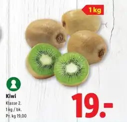 Lidl Kiwi tilbud