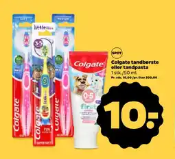 Netto COLGATE Tandbørste eller tandpasta tilbud