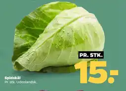 Netto Spidskål tilbud