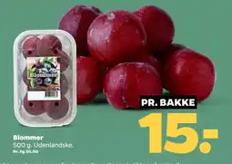 Netto Blommer tilbud