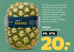 Netto Ananas tilbud