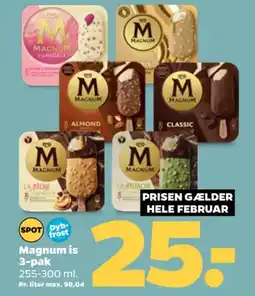 Netto MAGNUM Is 3-pak tilbud