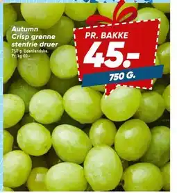 Bilka Autumn Crisp grønne stenfrie druer tilbud