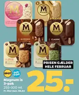 Netto Magnum is 3-pak tilbud