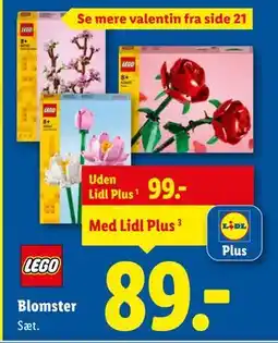 Lidl Blomster tilbud