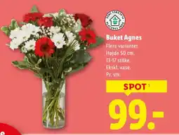 Lidl Buket Agnes tilbud