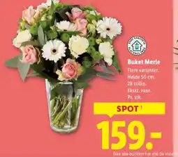 Lidl Buket merle tilbud