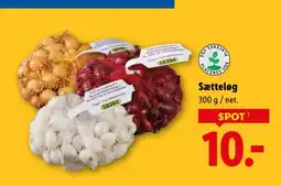 Lidl Sætteløg tilbud